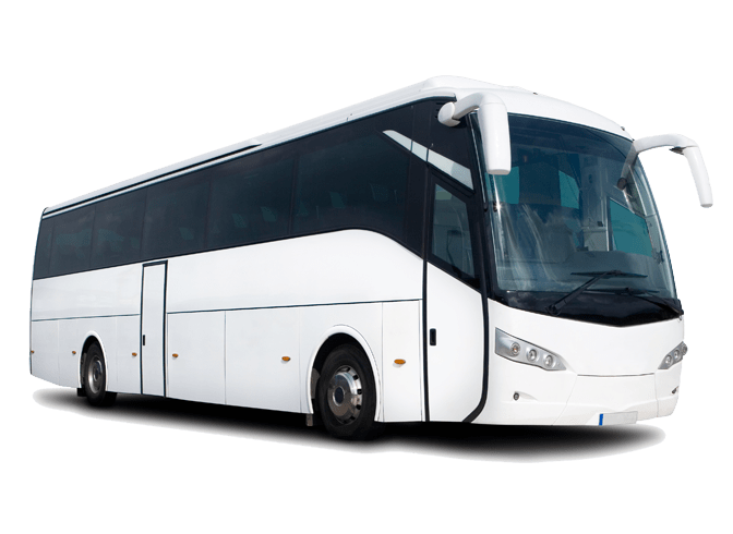 bigbus
